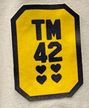 Michigan Wolverines TM42 Patch