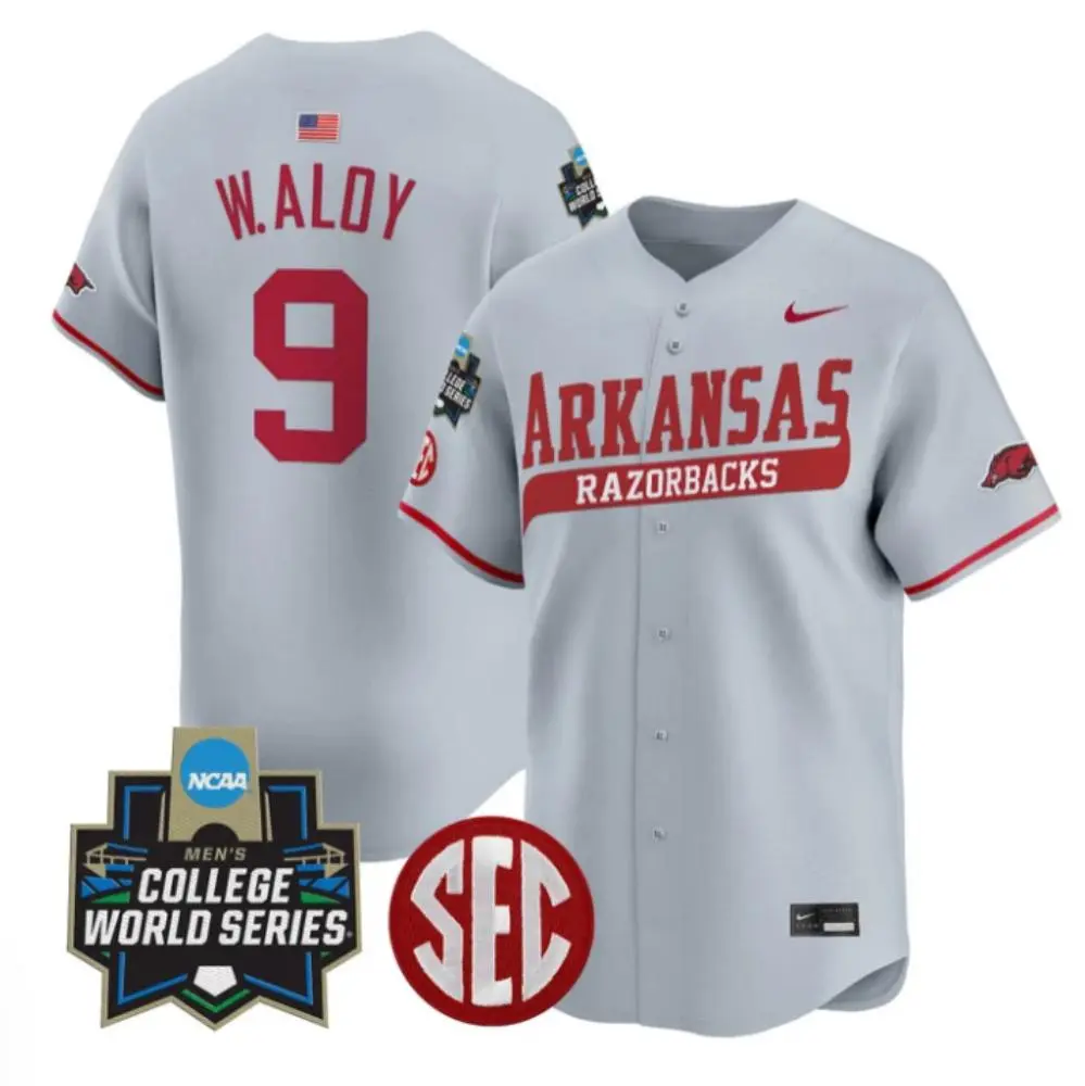 Mens Youth Arkansas Razorbacks #9 Wehiwa Aloy 2025 Gray College Baseball Game Jersey