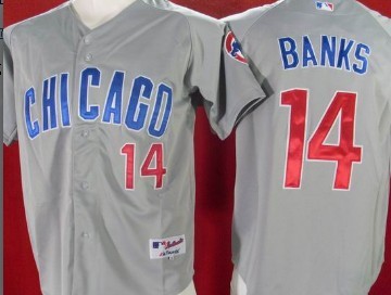 Men's Chicago Cubs #14 Ernie Banks Gray Jersey