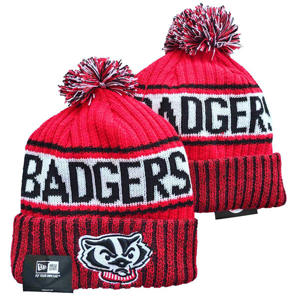 NCAA Wisconsin Badgers Embroidered Cuffed Pom Knit Hat YD2021114