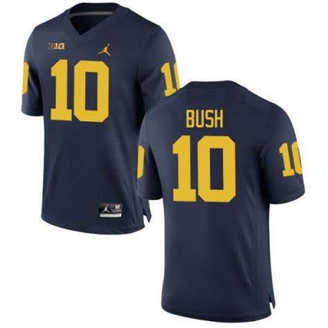 Mens NCAA Michigan Wolverines #10 Devin Bush Brand Jordan Navy Stitched College Football Jersey