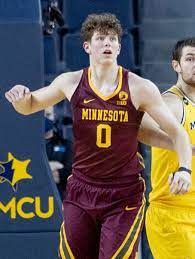 Men's Minnesota Golden Gophers #0 Liam Robbins Nike Maroon Alumni College Basketball Jersey
