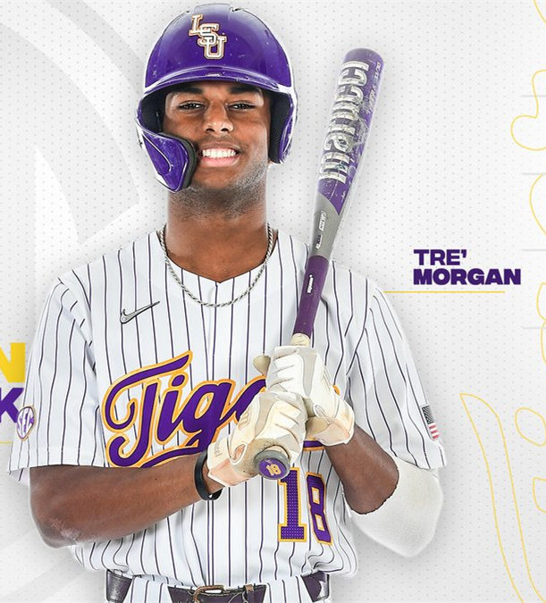Mens LSU Tigers #18 Tre Morgan Nike White Pinstripe College Baseball Jersey