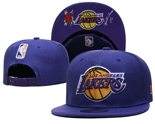 NBA Los Angeles Lakers 17X World Champions Purple Embroidered Snapback Cap