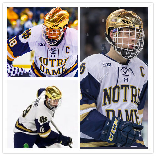 Mens Notre Dame Fighting Irish #18 Jake Evans Under Armour White Notre Dame Hockey Game Jersey