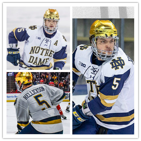 Mens Notre Dame Fighting Irish #5 Matt Hellickson Under Armour White Notre Dame Hockey Game Jersey