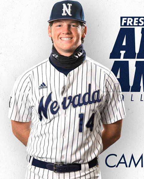Mens Nevada Wolf Pack #14 Cameron Walty Adidas White Pinstripe College Baseball Game Jersey