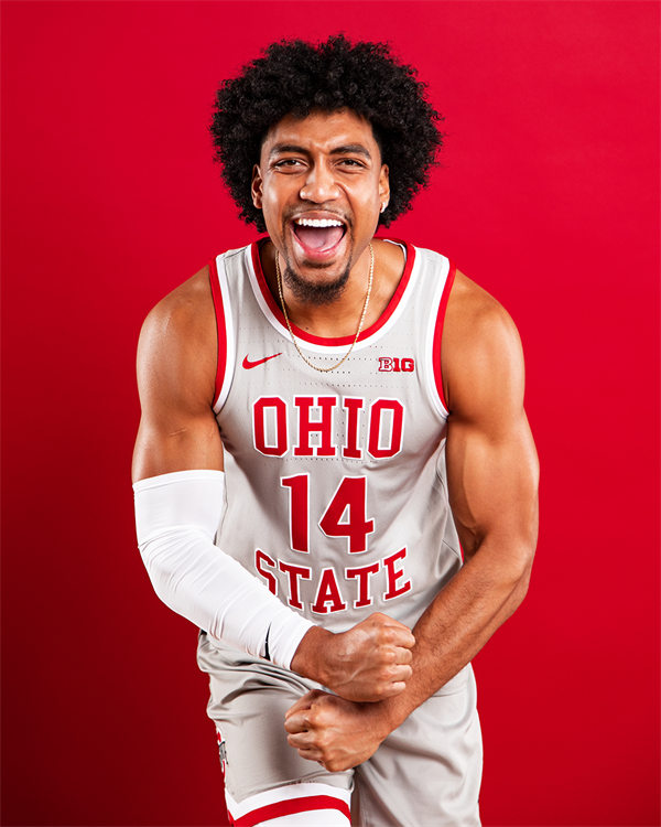 Mens Ohio State Buckeyes #14 Justice Sueing Nike 2019 Grey College Basketball Jersey