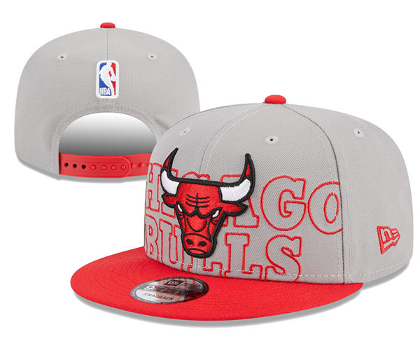 NBA Chicago Bulls Embroidered Gray Red Snapback Cap YD2310121 (2)