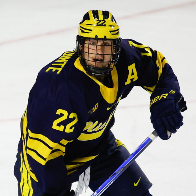 Mens Youth Michigan Wolverines #22 Philippe Lapointe 2023-24 Navy Hockey Game Jersey