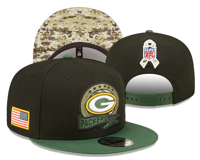 Green Bay Packers embroidered Snapback Caps YD221201  (2)