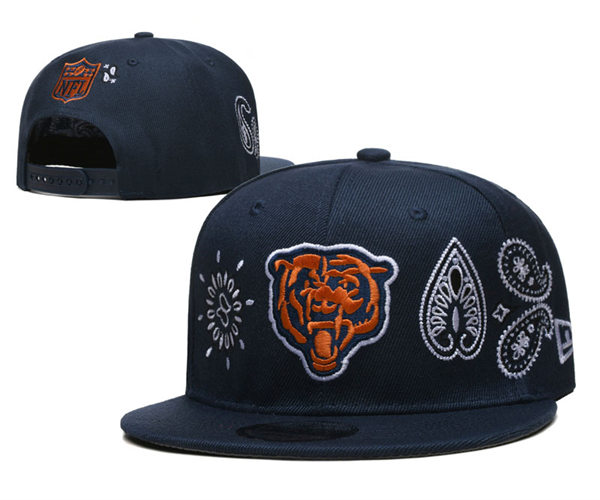 Chicago Bears embroidered Snapback Caps YD221201  (13)