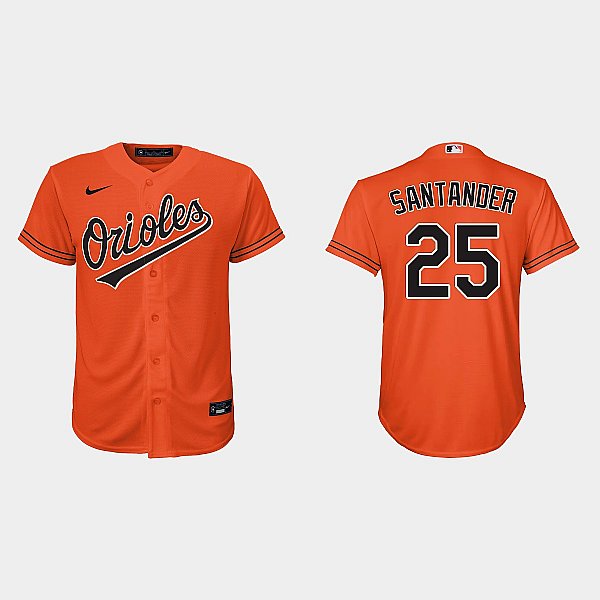 Youth Baltimore Orioles #25 Anthony Santander Nike Orange Alternate Jersey
