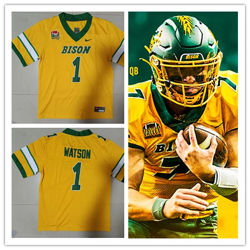 Mens Youth North Dakota State Bison Custom 2025 Gold Nike NCAA College Football Jersey