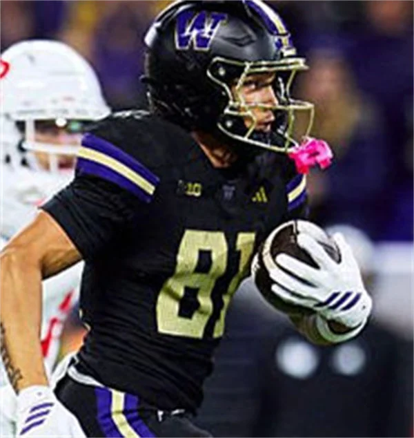 Washington Huskies #81 DEZMEN ROEBUCK 2025 Black College Football Jersey