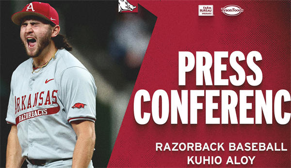 Mens Youth Arkansas Razorbacks #25 Kuhio Aloy 2025 Gray College Baseball Game Jersey