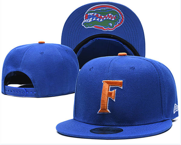 NCAA Florida Gators Royal Primary Logo Snapback Cap GS2503202 (3)