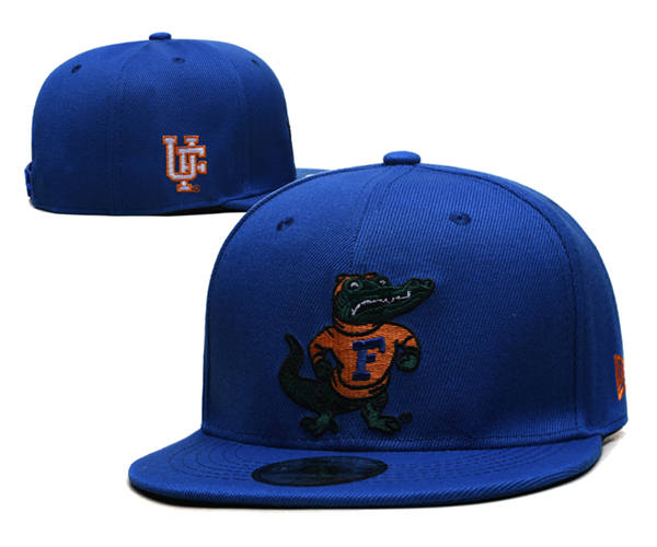 NCAA Florida Gators Royal Reflex Logo Snapback Cap GS2503202