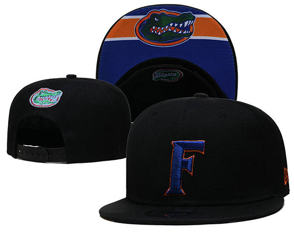 NCAA Florida Gators Black Royal reflex logo Snapback Cap GS2503202 (2)