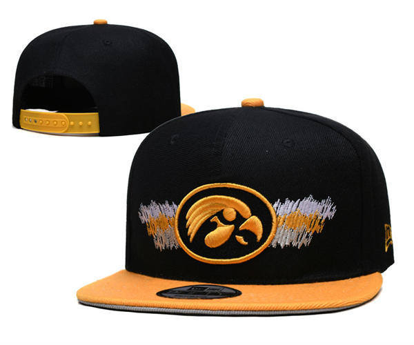 NCAA Iowa Hawkeyes Black Gold Two-tone Snapback Hat YD253192 (9)