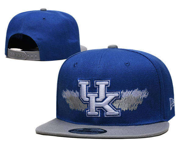 NCAA Kentucky Wildcats Royal Gray Two-tone Snapback Hat YD253192 (10)