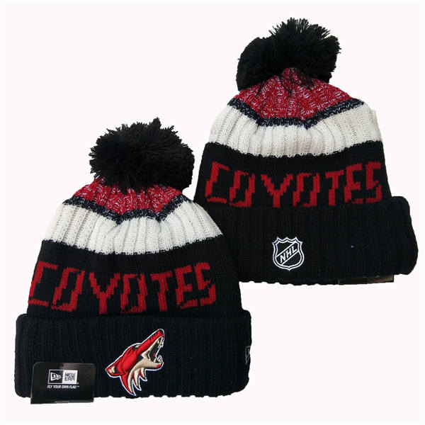 Arizona Coyotes Black White Cuffed Pom Knit Hat YD2503211 (20)