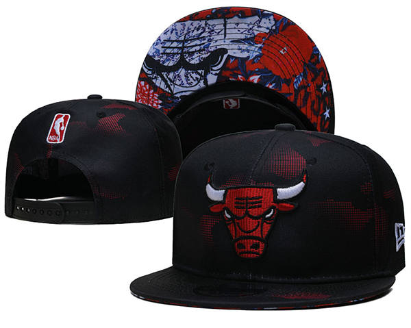 NBA Chicago Bulls Black collorful Primary Logo Snapback Hat YD2503211  (11)