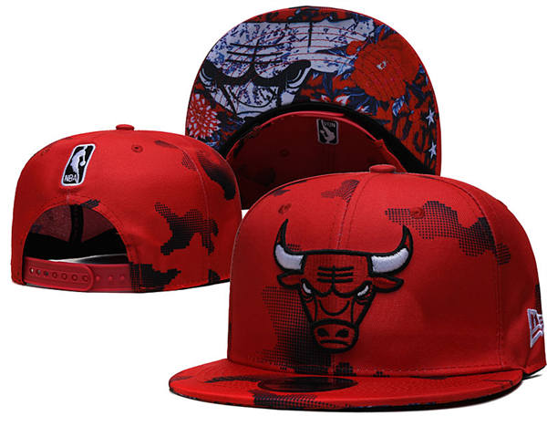 NBA Chicago Bulls red colorful Primary Logo Snapback Hat YD2503211  (8)
