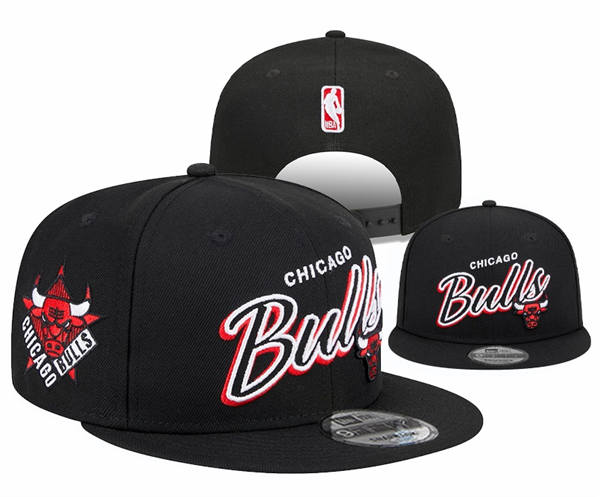 NBA Chicago Bulls black Legacy True Snapback Hat YD2503211  (5)