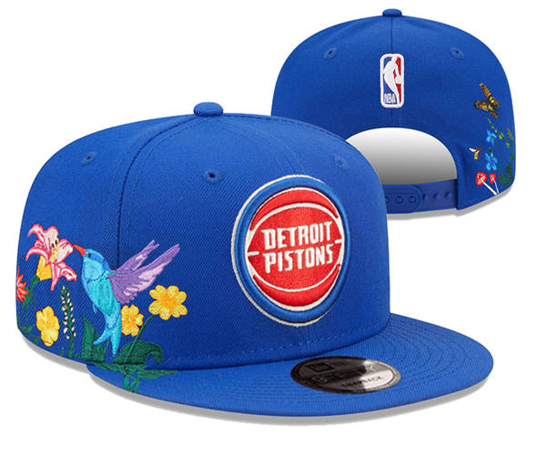 NBA Detroit Pistons Blue Garden Snapback Hat YD2503211