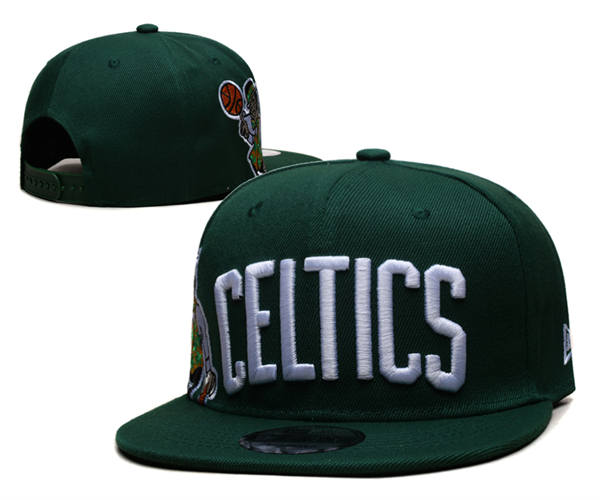 Boston Celtics green white Embroidered Snapback Cap GS2503223 (3)