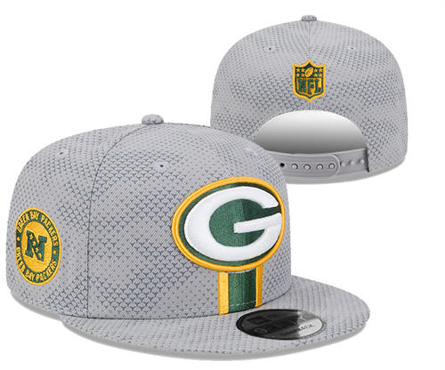 NFL Green Bay Packers gray Sideline Snapback Hat YD2503211 (4)