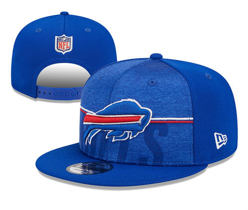 NFL Buffalo Bills Royal Relex logo Snapback Hat YD2503211 (8)