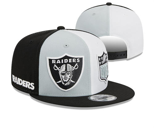 NFL Las Vegas Raiders black gray white multi-coloured embroidered Snapback Hat YD2503211 (14)