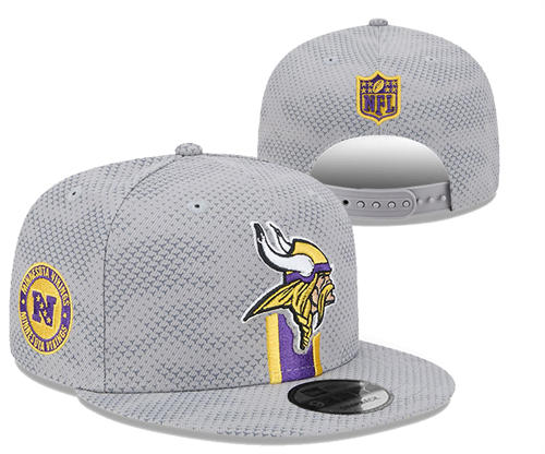 NFL Minnesota Vikings Gray Sideline  NFC Snapback Hat YD2503211 (5)