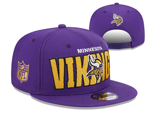 NFL Minnesota Vikings Purple Gold Snapback Hat YD2503211 (6)