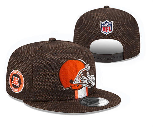 NFL Cleveland Browns Brown Sideline Snapback Hat YD2503211 (9)