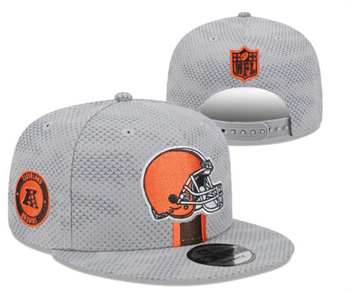 NFL Cleveland Browns Brow Sideline Snapback Hat YD2503211 (6)