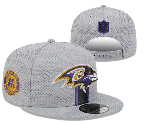 NFL Baltimore Ravens Gray Sideline Snapback Hat YD2503211 (5)