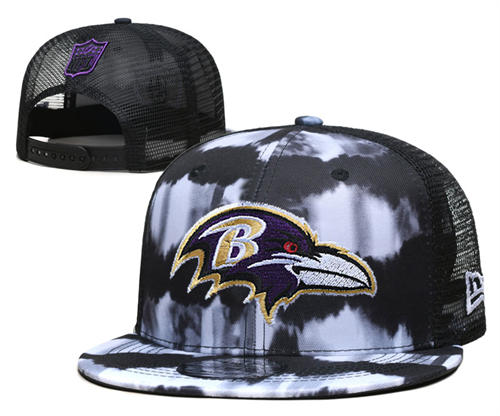NFL Baltimore Ravens White Black colorful Snapback Hat YD2503211 (3)