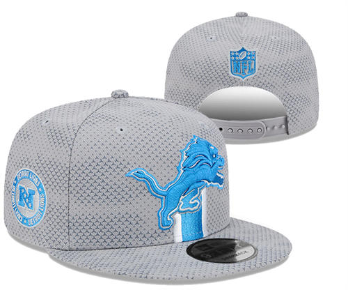 NFL Detroit Lions Gray Sideline NFC Snapback Hat YD2503211 (12)