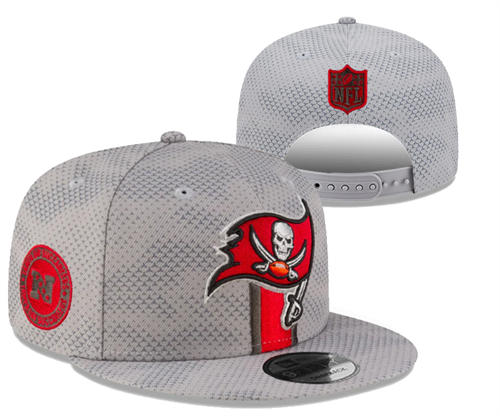 NFL Tampa Bay Buccaneers Gray Sideline  Snapback Hat YD2503211 (3)