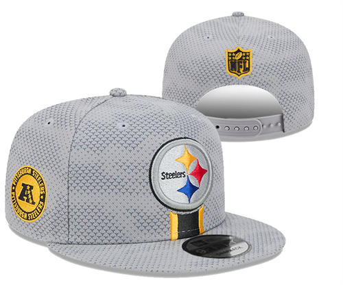 NFL Pittsburgh Steelers gray sideline Snapback Hat YD2503211 (4)