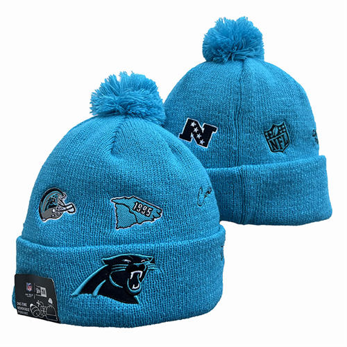 NFL Carolina Panthers Blue 1995 Anniversary Cuffed Pom Knit Hat YD2503212 (3)