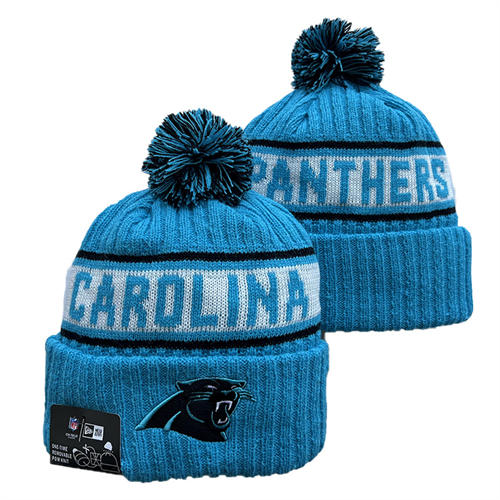 NFL Carolina Panthers Blue white with colorful Cuffed Pom Knit Hat YD2503212 (5)