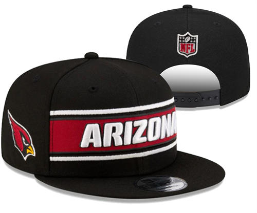 NFL Arizona Cardinals black classics Snapback Hat YD2503211 (3)