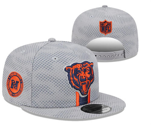 NFL Chicago Bears gray Sideline NFC Snapback Hat YD2503211 (9)