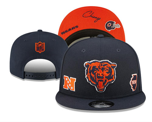 NFL Chicago Bears navy 1920 Anniversary Snapback Hat YD2503211 (2)