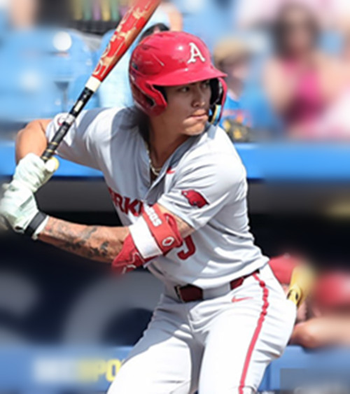 Arkansas Razorbacks #9 Wehiwa Aloy Gray College Baseball Game Jersey