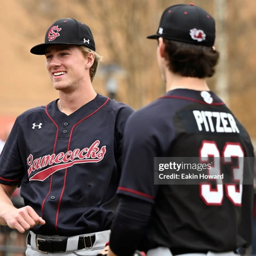 South Carolina Gamecocks #33 Tyler Pitzer Black Button Baseball Game Jersey